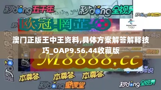 澳门正版王中王资料,具体方案解答解释技巧_OAP9.56.44收藏版