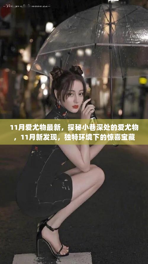 11月新发现，探秘小巷深处的独特爱尤物宝藏