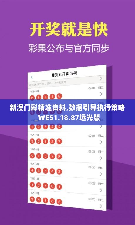 新澳门彩精准资料,数据引导执行策略_WES1.18.87远光版