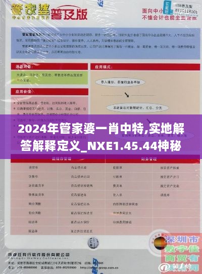 2024年管家婆一肖中特,实地解答解释定义_NXE1.45.44神秘版