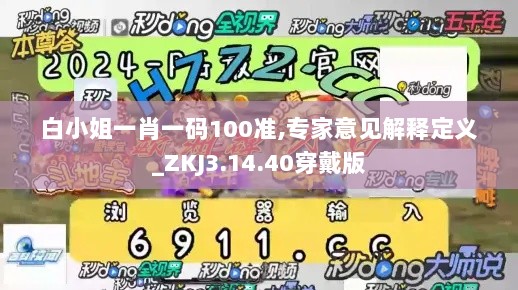 白小姐一肖一码100准,专家意见解释定义_ZKJ3.14.40穿戴版