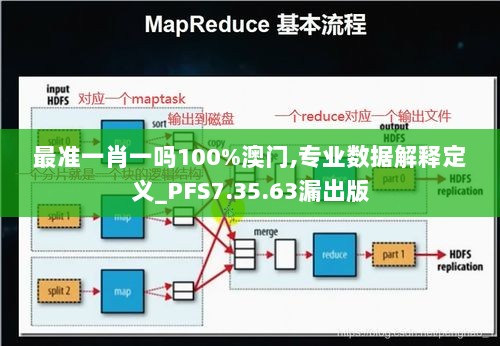 最准一肖一吗100%澳门,专业数据解释定义_PFS7.35.63漏出版