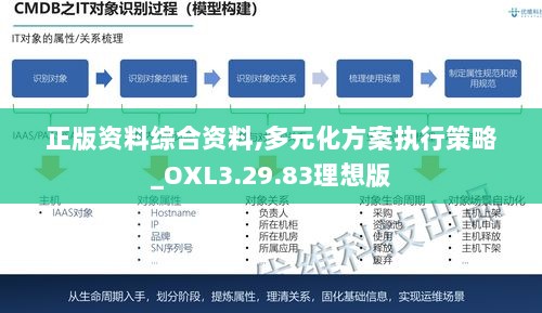 正版资料综合资料,多元化方案执行策略_OXL3.29.83理想版