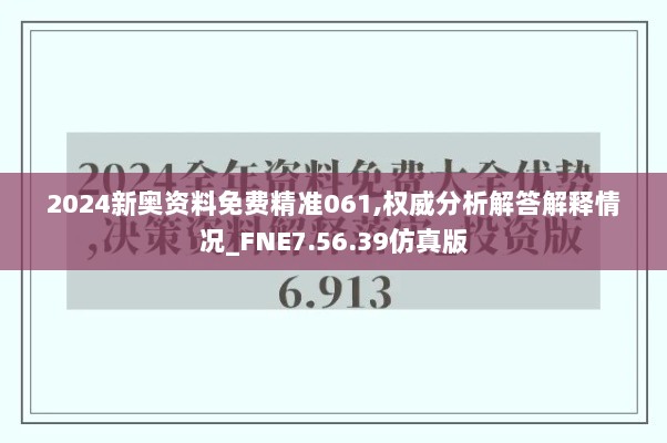 2024新奥资料免费精准061,权威分析解答解释情况_FNE7.56.39仿真版