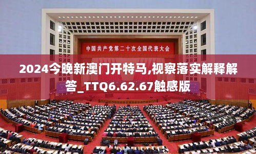 2024今晚新澳门开特马,视察落实解释解答_TTQ6.62.67触感版