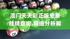 澳门天天彩正版免费挂牌查询,精细分析解答解释计划_HQE8.45.59普及版