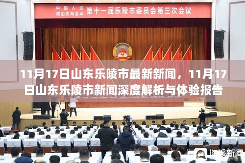 11月17日山东乐陵市新闻深度解析与体验报告，乐陵最新动态解析