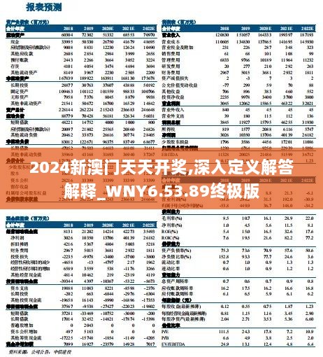 2024新澳门天天开奖,深入定义解答解释_WNY6.53.89终极版