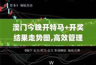 澳门今晚开特马+开奖结果走势图,高效管理解答解释措施_OPV5.14.68普及版