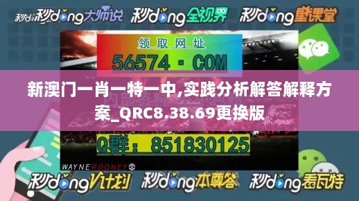 新澳门一肖一特一中,实践分析解答解释方案_QRC8.38.69更换版