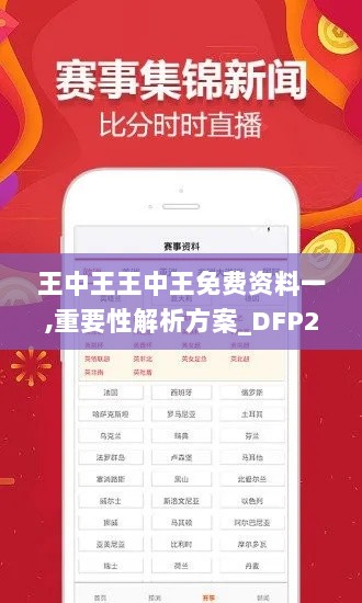 王中王王中王免费资料一,重要性解析方案_DFP2.67.60轻奢版