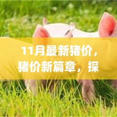 11月猪价新篇章，探索自然与内心的平静喜悦之旅