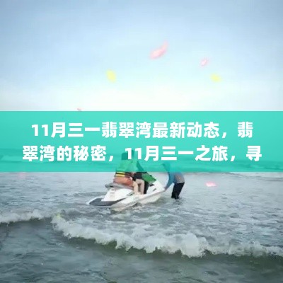 11月三一翡翠湾探秘之旅，寻找内心的平静与喜悦，解锁翡翠湾的秘密动态