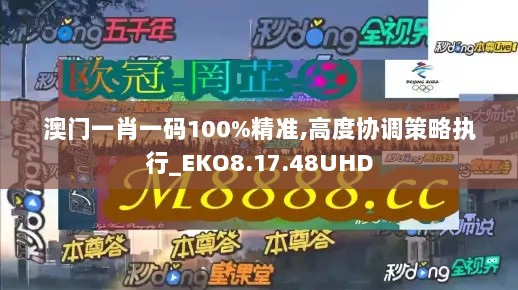 澳门一肖一码100%精准,高度协调策略执行_EKO8.17.48UHD