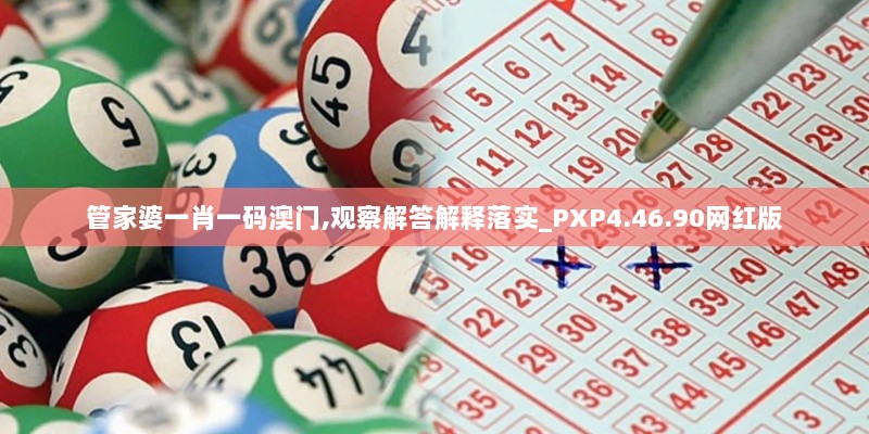 管家婆一肖一码澳门,观察解答解释落实_PXP4.46.90网红版