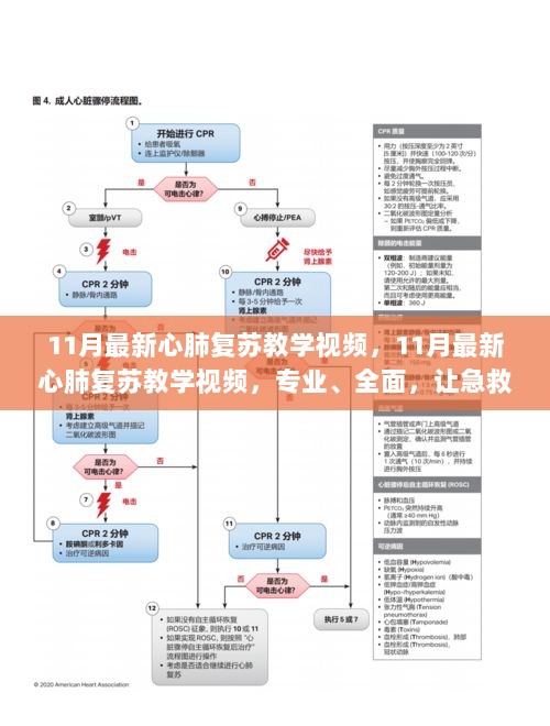 11月心肺复苏教学视频，专业全面，急救知识触手可及的实用指南