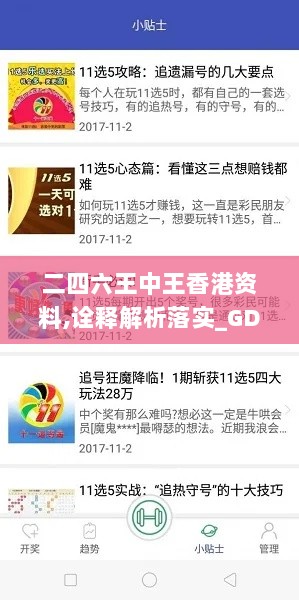 二四六王中王香港资料,诠释解析落实_GDD9.64.25通玄境