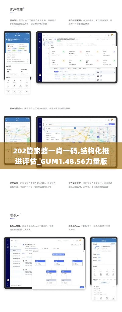 202管家婆一肖一码,结构化推进评估_GUM1.48.56力量版