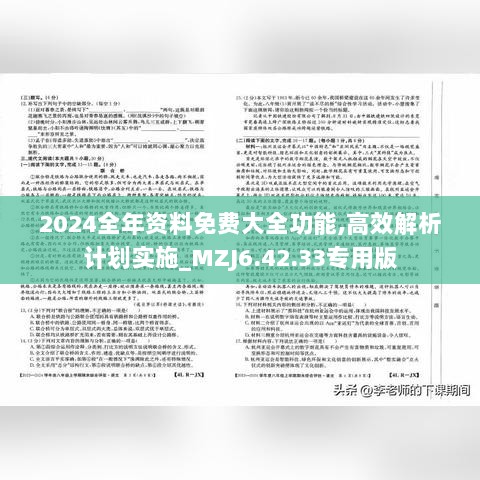 2024全年资料免费大全功能,高效解析计划实施_MZJ6.42.33专用版