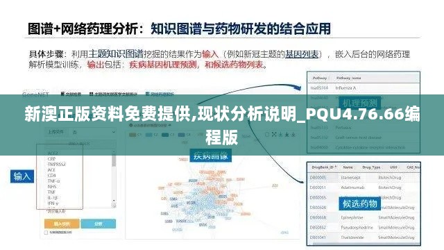 新澳正版资料免费提供,现状分析说明_PQU4.76.66编程版