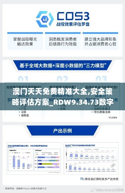 澳门天天免费精准大全,安全策略评估方案_RDW9.34.73数字版