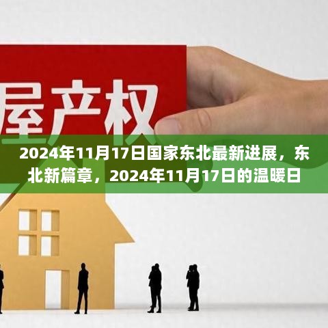 2024年11月17日，东北新篇章的温暖日常与国家最新进展