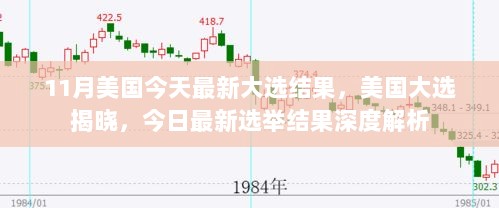 11月美国大选结果深度解析