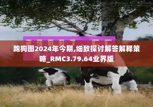 跑狗图2024年今期,细致探讨解答解释策略_RMC3.79.64业界版