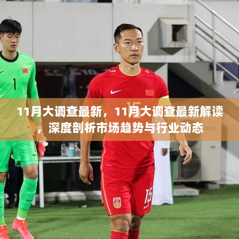 11月大调查深度解读，市场趋势与行业动态的全面剖析