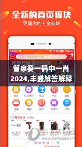 管家婆一码中一肖2024,丰盛解答解释落实_SPM4.50.66散热版