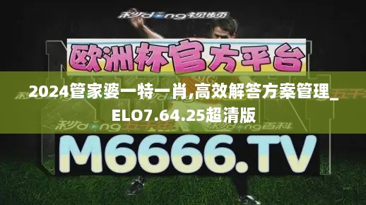 2024管家婆一特一肖,高效解答方案管理_ELO7.64.25超清版