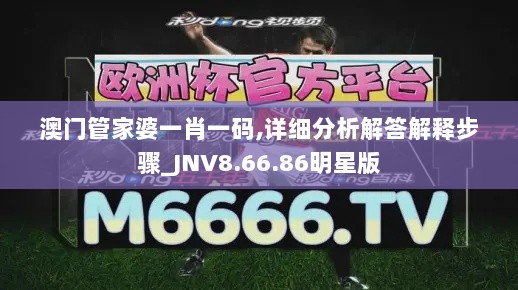 澳门管家婆一肖一码,详细分析解答解释步骤_JNV8.66.86明星版