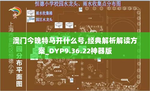 澳门今晚特马开什么号,经典解析解读方案_DYP9.36.22神器版