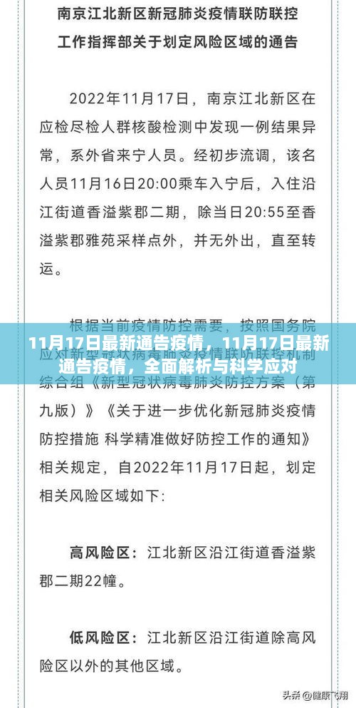 11月17日疫情最新通告，全面解析与科学应对