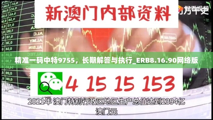 精准一码中特9755，长期解答与执行_ERB8.16.90网络版