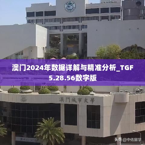 澳门2024年数据详解与精准分析_TGF5.28.56数字版