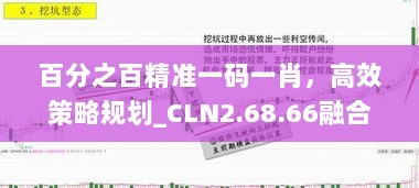 百分之百精准一码一肖，高效策略规划_CLN2.68.66融合版