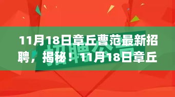 2024年11月19日 第115页