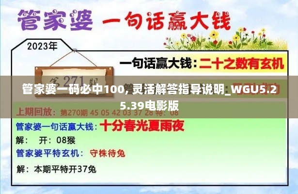 管家婆一码必中100, 灵活解答指导说明_WGU5.25.39电影版