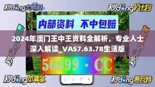 2024年澳门王中王资料全解析，专业人士深入解读_VAS7.63.78生活版