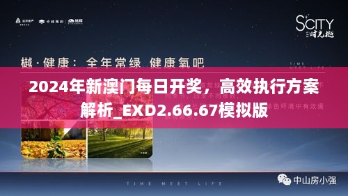 2024年新澳门每日开奖，高效执行方案解析_EXD2.66.67模拟版