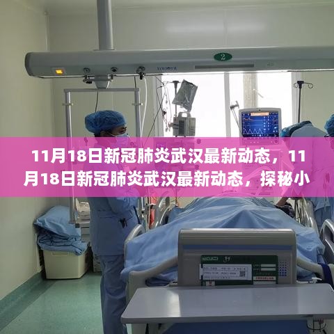 11月18日武汉新冠肺炎最新动态及小巷深处的神秘美食小店探秘