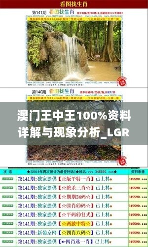 澳门王中王100%资料详解与现象分析_LGR4.54.88实用版