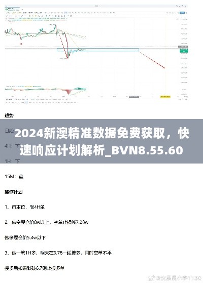 2024新澳精准数据免费获取，快速响应计划解析_BVN8.55.60云端版