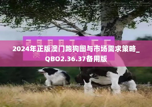 2024年正版澳门跑狗图与市场需求策略_QBO2.36.37备用版