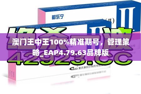 澳门王中王100%精准期号，管理策略_EAP4.79.63品牌版