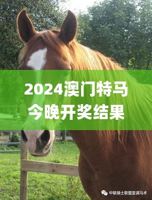 2024澳门特马今晚开奖结果：亿彩网最新动态与深度解析_GGU8.74.53影视版