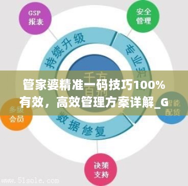 管家婆精准一码技巧100%有效，高效管理方案详解_GXL3.33.40天然版