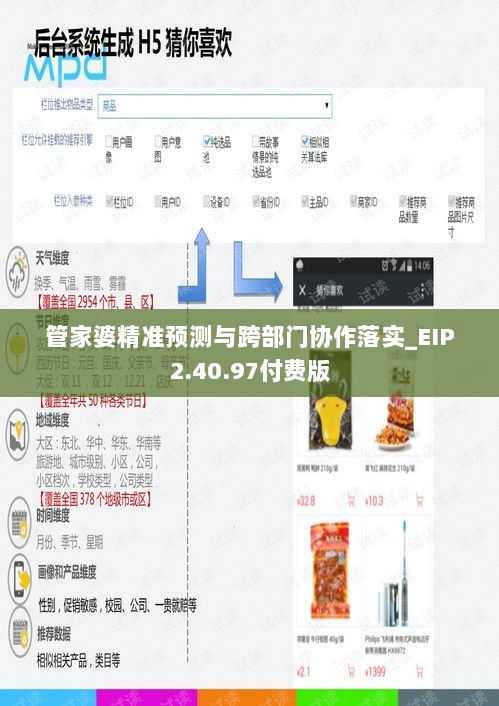 管家婆精准预测与跨部门协作落实_EIP2.40.97付费版