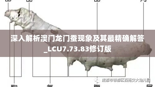 深入解析澳门龙门蚕现象及其最精确解答_LCU7.73.83修订版